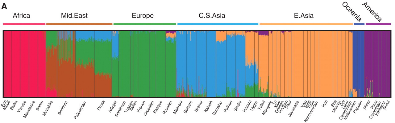 Regional ancestry inferred with the frappe program at K = 7 (13) and plotted with the Distruct program (31). Each individual is represented by a vertical line partitioned into colored segments whose lengths correspond to his/her ancestry coefficients in up to seven inferred ancestral groups. Population labels were added only after each individual's ancestry had been estimated; they were used to order the samples in plotting. Figure and caption from [Li et al. 2009](https://doi.org/10.1126/science.1153717).